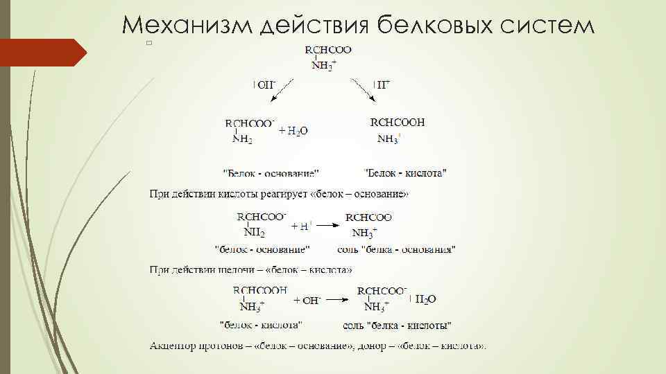 Механизм действия белковых систем 