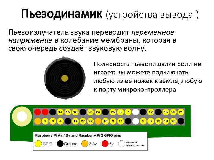 Пьезодинамик (устройства вывода ) Пьезоизлучатель звука переводит переменное напряжение в колебание мембраны, которая в