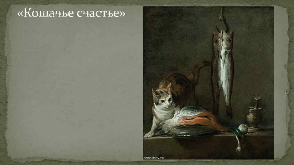  «Кошачье счастье» 