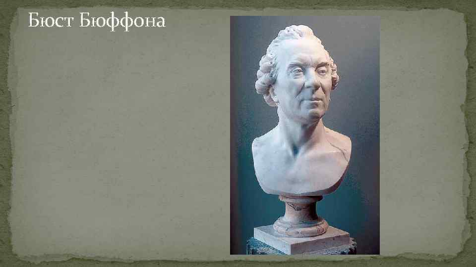 Бюст Бюффона 