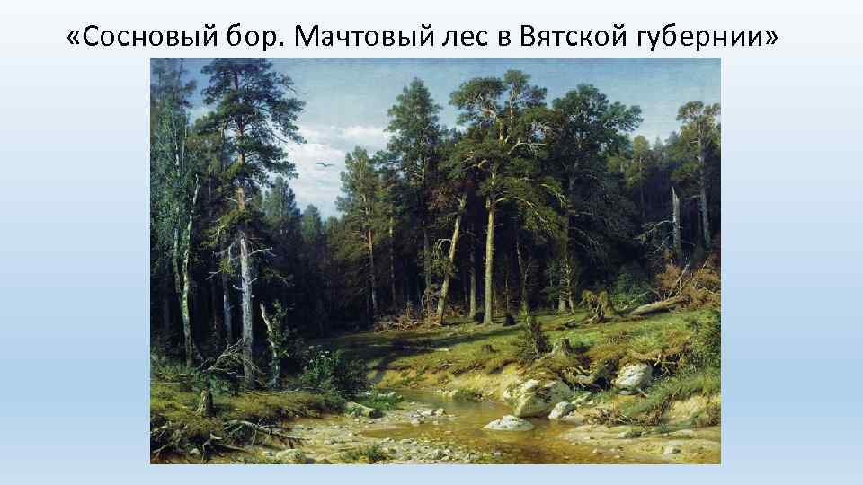  «Сосновый бор. Мачтовый лес в Вятской губернии» 