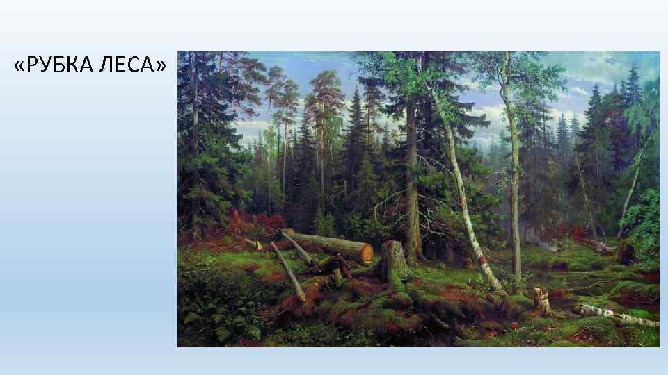  «РУБКА ЛЕСА» 