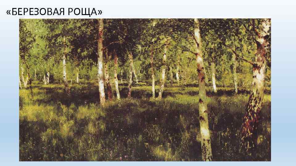  «БЕРЕЗОВАЯ РОЩА» 