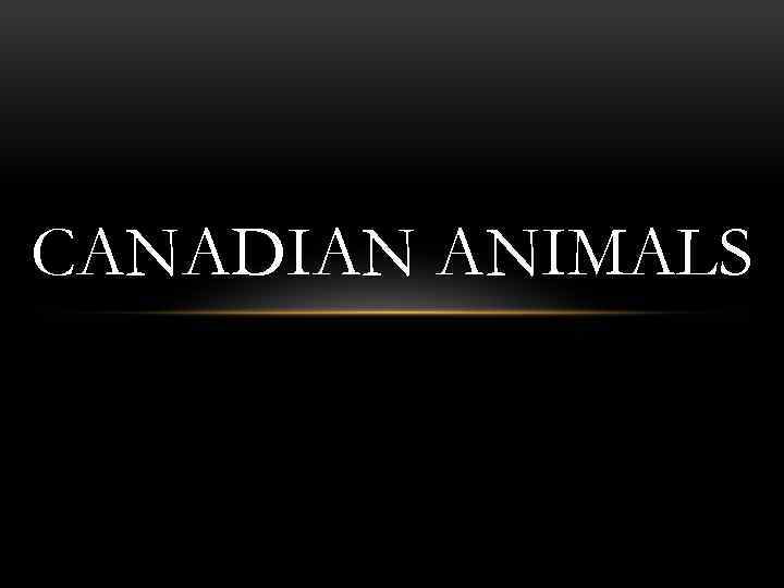 CANADIAN ANIMALS 