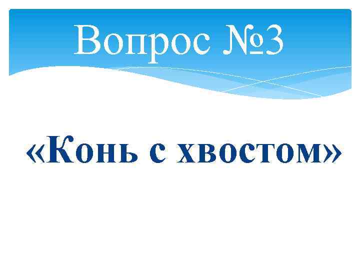 Вопрос № 3 «Конь с хвостом» 