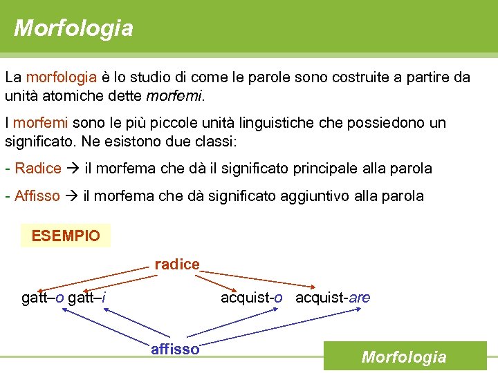 Morfologia La morfologia è lo studio di come le parole sono costruite a partire