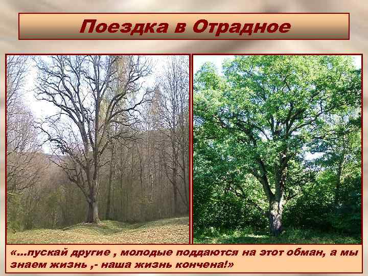 Поездка в Отрадное «…пускай другие , молодые поддаются на этот обман, а мы знаем