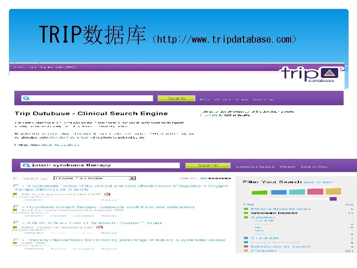 TRIP数据库（http: //www. tripdatabase. com） 