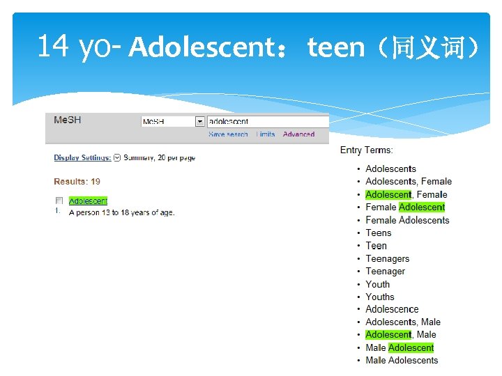 14 yo- Adolescent：teen（同义词） 