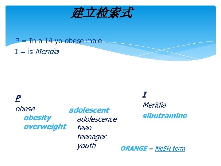 建立检索式 P = In a 14 yo obese male I = is Meridia I