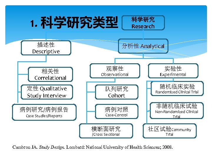 1. 科学研究类型 描述性 Descriptive 相关性 Correlational 科学研究 Research 分析性 Analytical 观察性 实验性 Observational Experimental