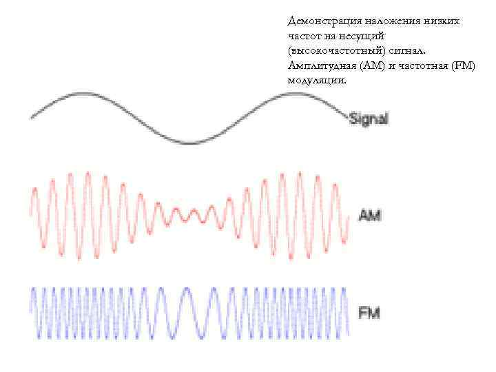Демонстрация наложения низких частот на несущий (высокочастотный) сигнал. Амплитудная (AM) и частотная (FM) модуляции.