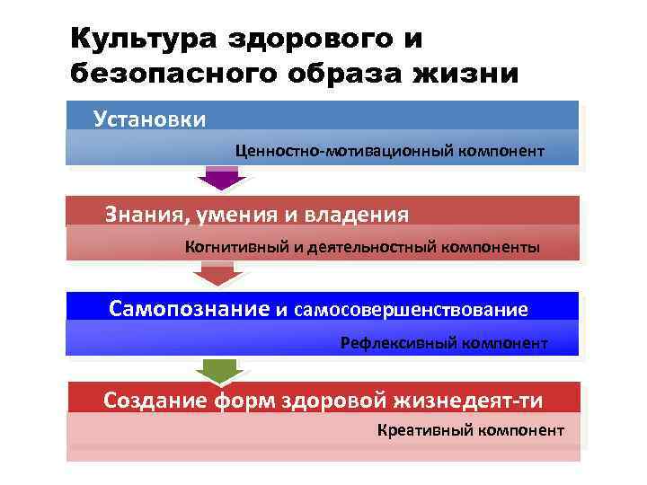 Культура здорового и безопасного образа жизни Установки Ценностно-мотивационный компонент Знания, умения и владения Когнитивный