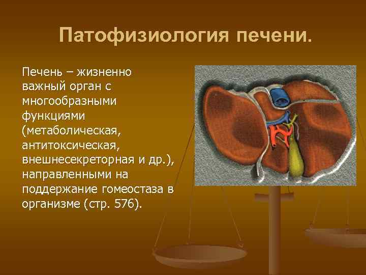 Патофизиология печени. Печень – жизненно важный орган с многообразными функциями (метаболическая, антитоксическая, внешнесекреторная и