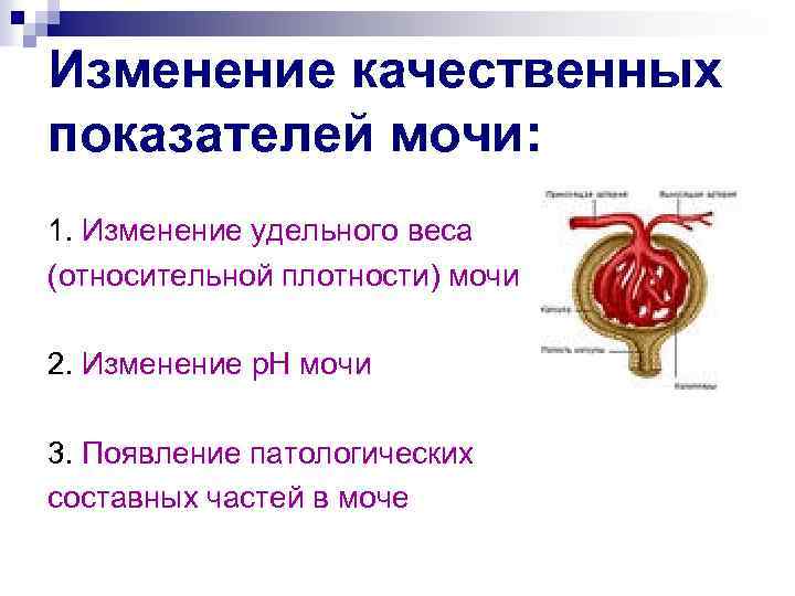 Изменение качественных показателей мочи: 1. Изменение удельного веса (относительной плотности) мочи 2. Изменение р.