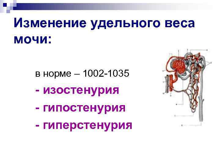 Изменение удельного веса мочи: в норме – 1002 -1035 - изостенурия - гиперстенурия 