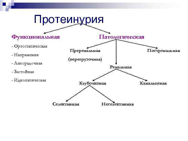 Протеинурия Функциональная - Ортостатическая - Напряжения - Лихорадочная Патологическая Преренальная Постренальная (перегрузочная) Ренальная -