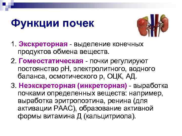 Функции почек 1. Экскреторная - выделение конечных продуктов обмена веществ. 2. Гомеостатическая - почки