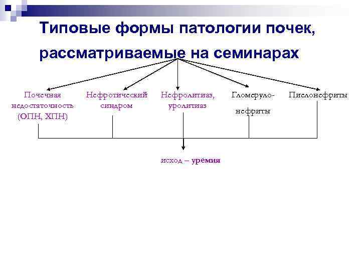 Типовые формы патологии почек, рассматриваемые на семинарах Почечная недостаточность (ОПН, ХПН) Нефротический синдром Нефролитиаз,