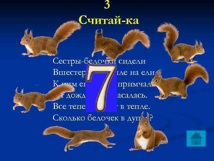 3 Считай-ка Сестры-белочки сидели Вшестером в дупле на ели. К ним еще одна примчалась.