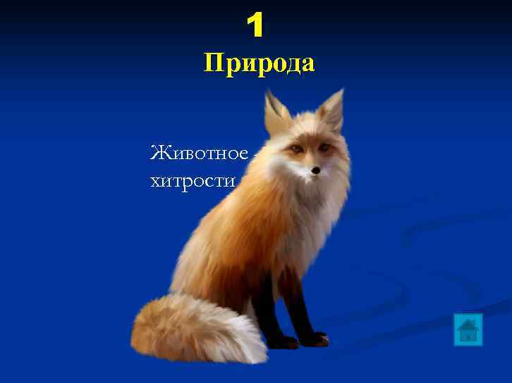 1 Природа Животное — символ хитрости и ловкости 