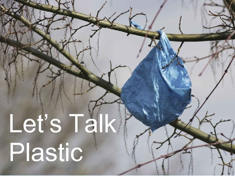 Let’s Talk Plastic 