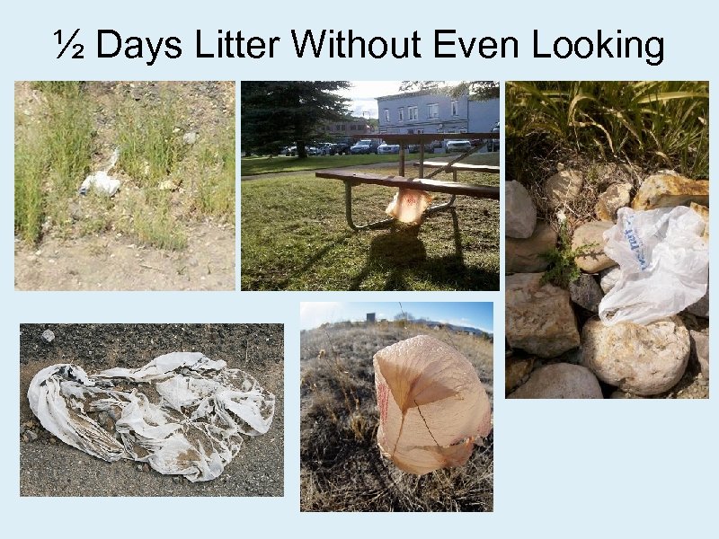 ½ Days Litter Without Even Looking 