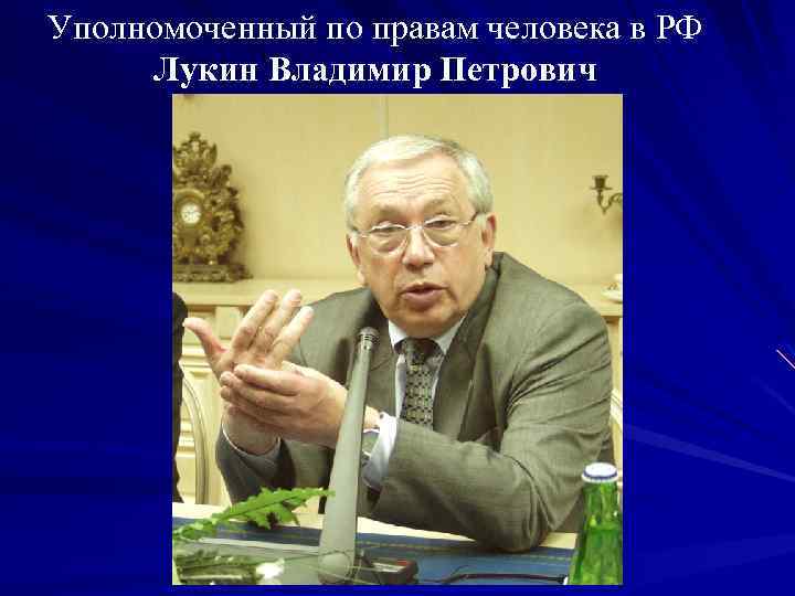 Уполномоченный по правам человека в РФ Лукин Владимир Петрович 