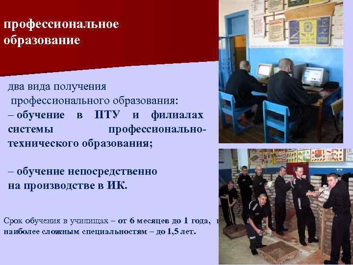 профессиональное образование два вида получения профессионального образования: – обучение в ПТУ и филиалах системы