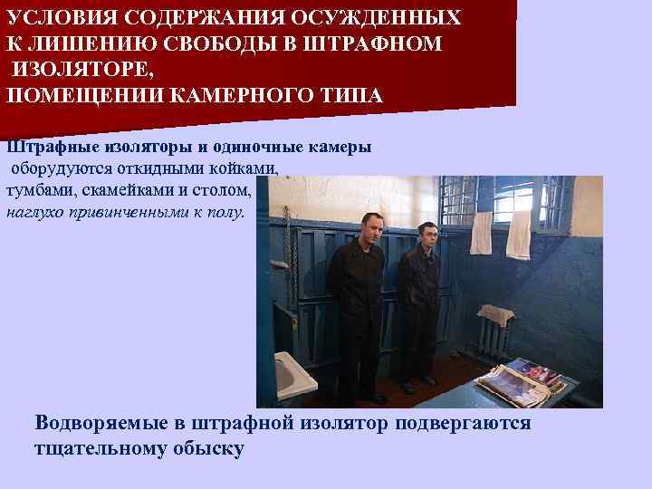 Свидания осужденных к лишению свободы