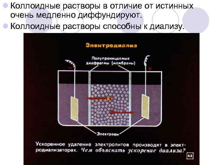 l Коллоидные растворы в отличие от истинных очень медленно диффундируют. l Коллоидные растворы способны