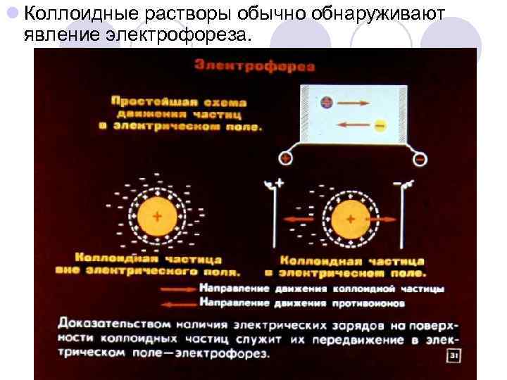 l Коллоидные растворы обычно обнаруживают явление электрофореза. 