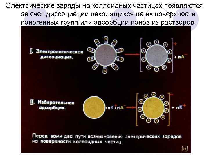 Коллоидные частицы. Механизм возникновения электрического заряда коллоидных частиц. Заряд коллоидной частицы. Причины возникновения зарядов коллоидных систем. Электрический заряд коллоидных частиц.