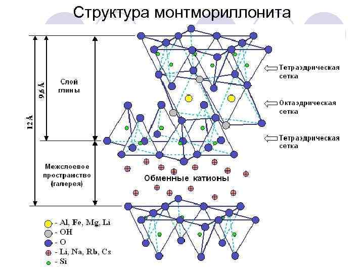 Структура монтмориллонита 
