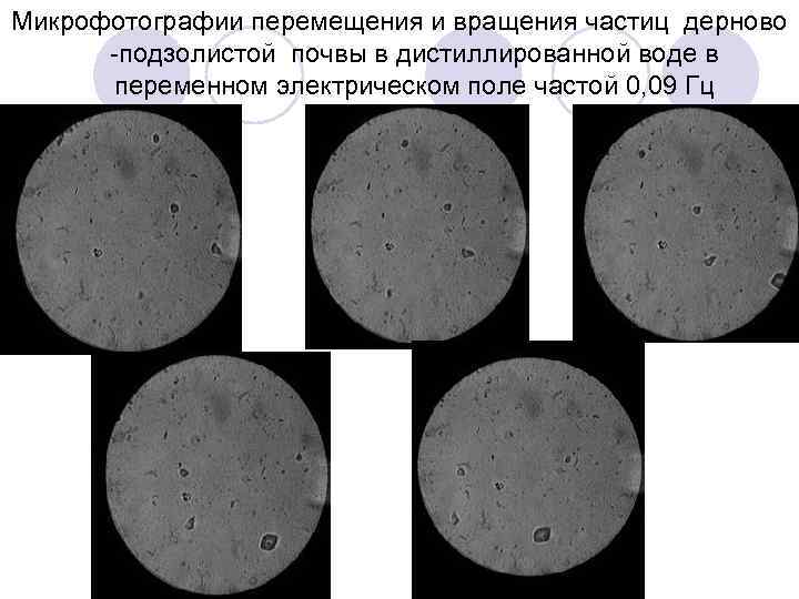 Микрофотографии перемещения и вращения частиц дерново -подзолистой почвы в дистиллированной воде в переменном электрическом