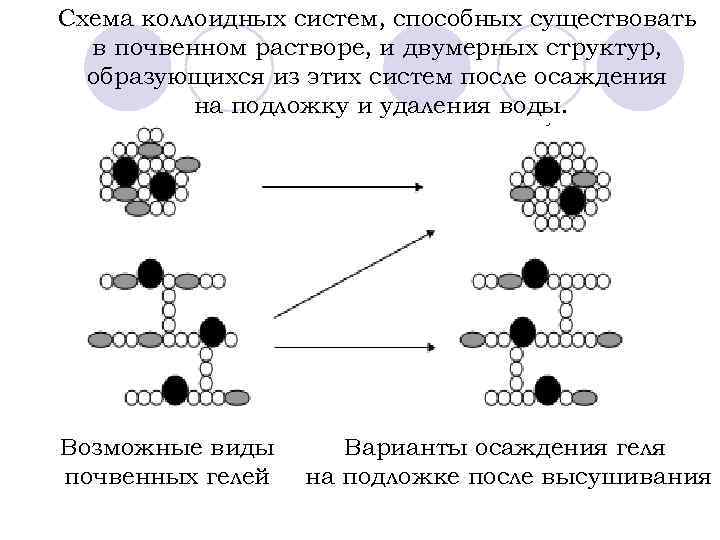 Схема коллоидных систем, способных существовать в почвенном растворе, и двумерных структур, образующихся из этих