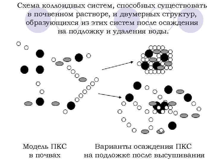 Коллоидная частица обладающая положительным зарядом образуется в реакциях схемы которых имеют вид