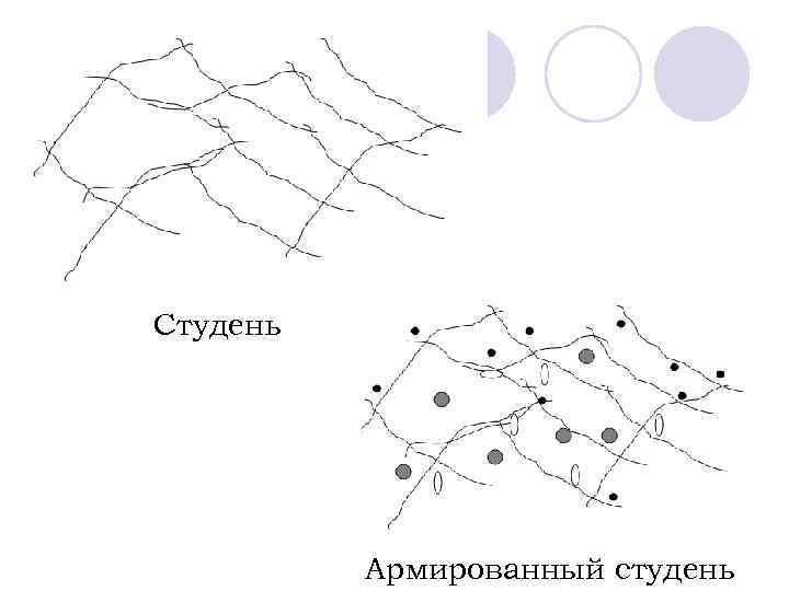 Студень Армированный студень 