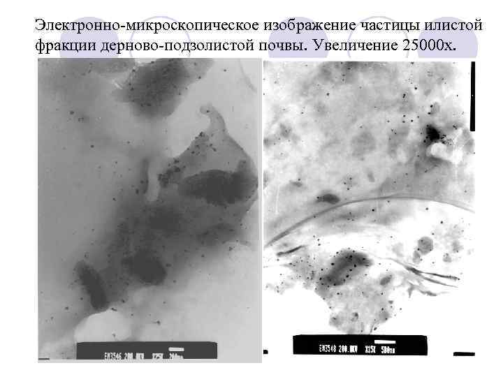 Электронно-микроскопическое изображение частицы илистой фракции дерново-подзолистой почвы. Увеличение 25000 х. 