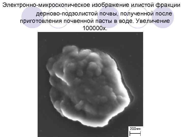 Электронно-микроскопическое изображение илистой фракции дерново-подзолистой почвы, полученной после приготовления почвенной пасты в воде. Увеличение