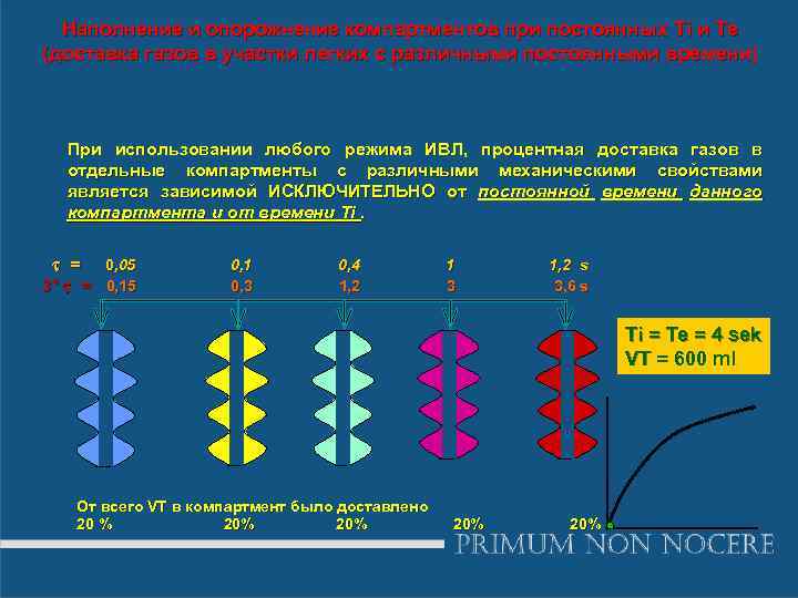 Наполнение и опорожнение компартментов при постоянных Ti и Te (доставка газов в участки легких