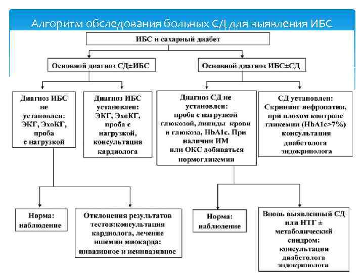 Алгоритм обследования больных СД для выявления ИБС 