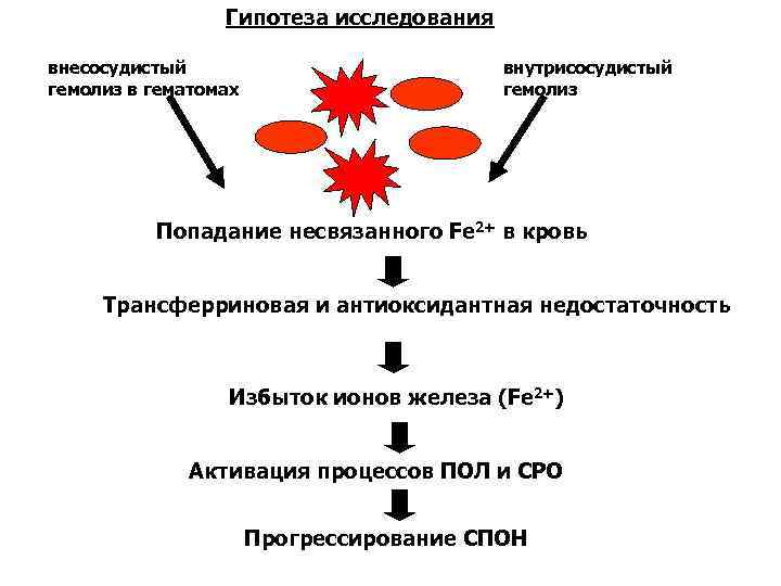 Гипотеза исследования внесосудистый гемолиз в гематомах внутрисосудистый гемолиз Попадание несвязанного Fe 2+ в кровь