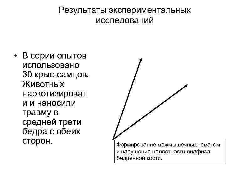 Результаты экспериментальных исследований • В серии опытов использовано 30 крыс-самцов. Животных наркотизировал и и