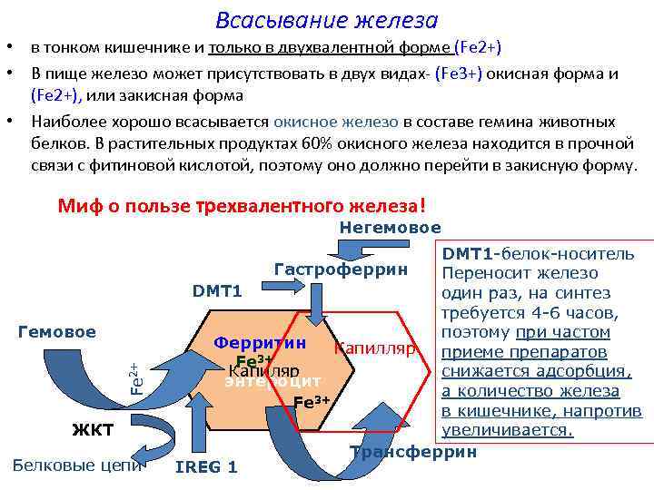 Препараты для улучшения всасывания железа