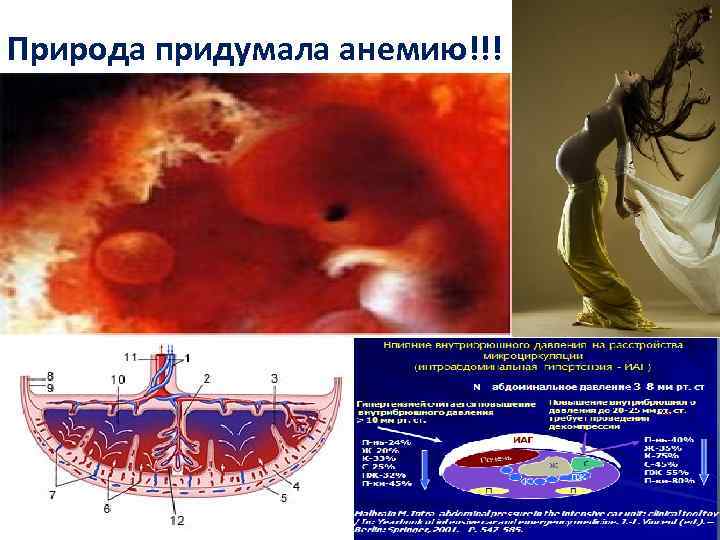 Природа придумала анемию!!! 