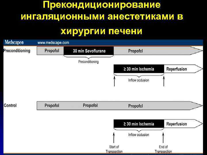 Прекондиционирование ингаляционными анестетиками в хирургии печени 64 пациента подвергшихся плановой резекции печени с печеночным