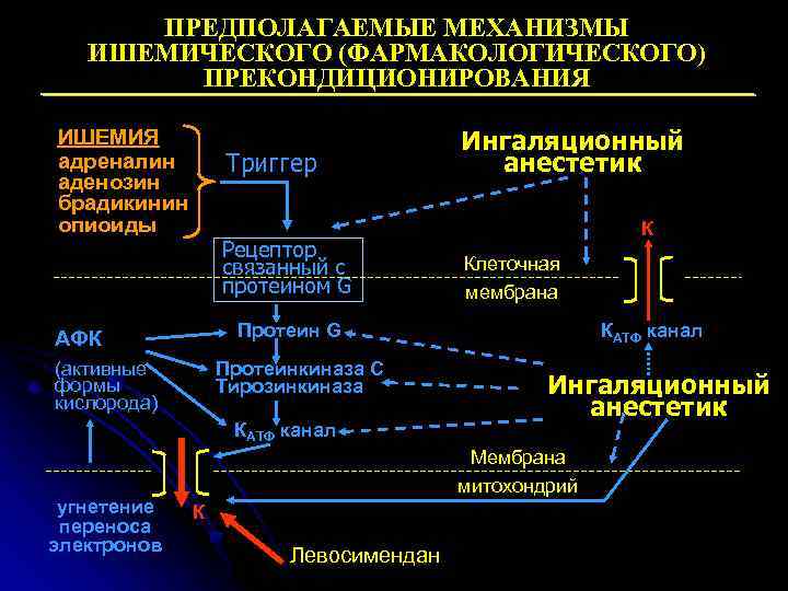 Механизм предполагает