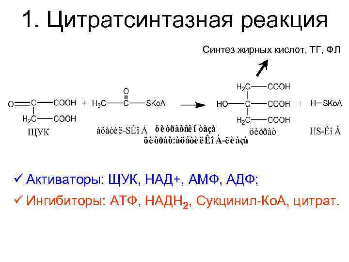 1. Цитратсинтазная реакция Синтез жирных кислот, ТГ, ФЛ ü Активаторы: ЩУК, НАД+, АМФ, АДФ;