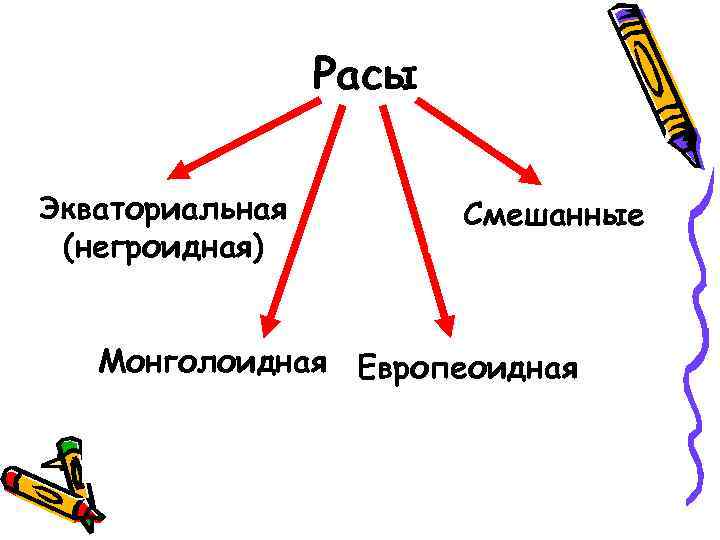 Расы Экваториальная (негроидная) Смешанные Монголоидная Европеоидная 
